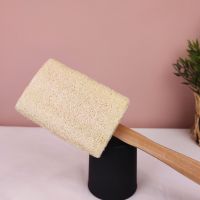 Brosse Loofah 3