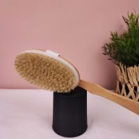 Brosse pour le dos 3