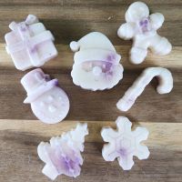 Figurine fondant baies givrées