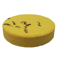 galet de douche à la mangue