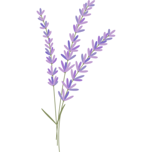 Lavande logo